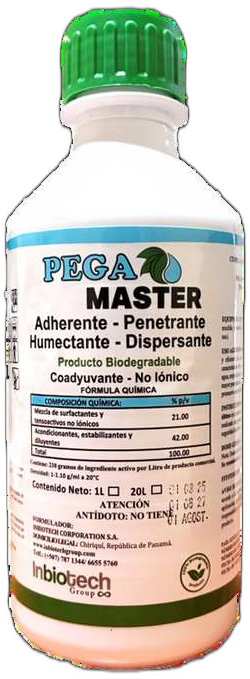 PEGA MASTER