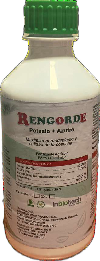 RENGORDE